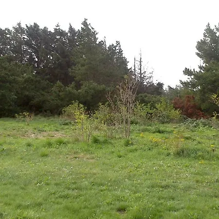 6 Fyrrevej, Noerre Lyngby Nyaraló *